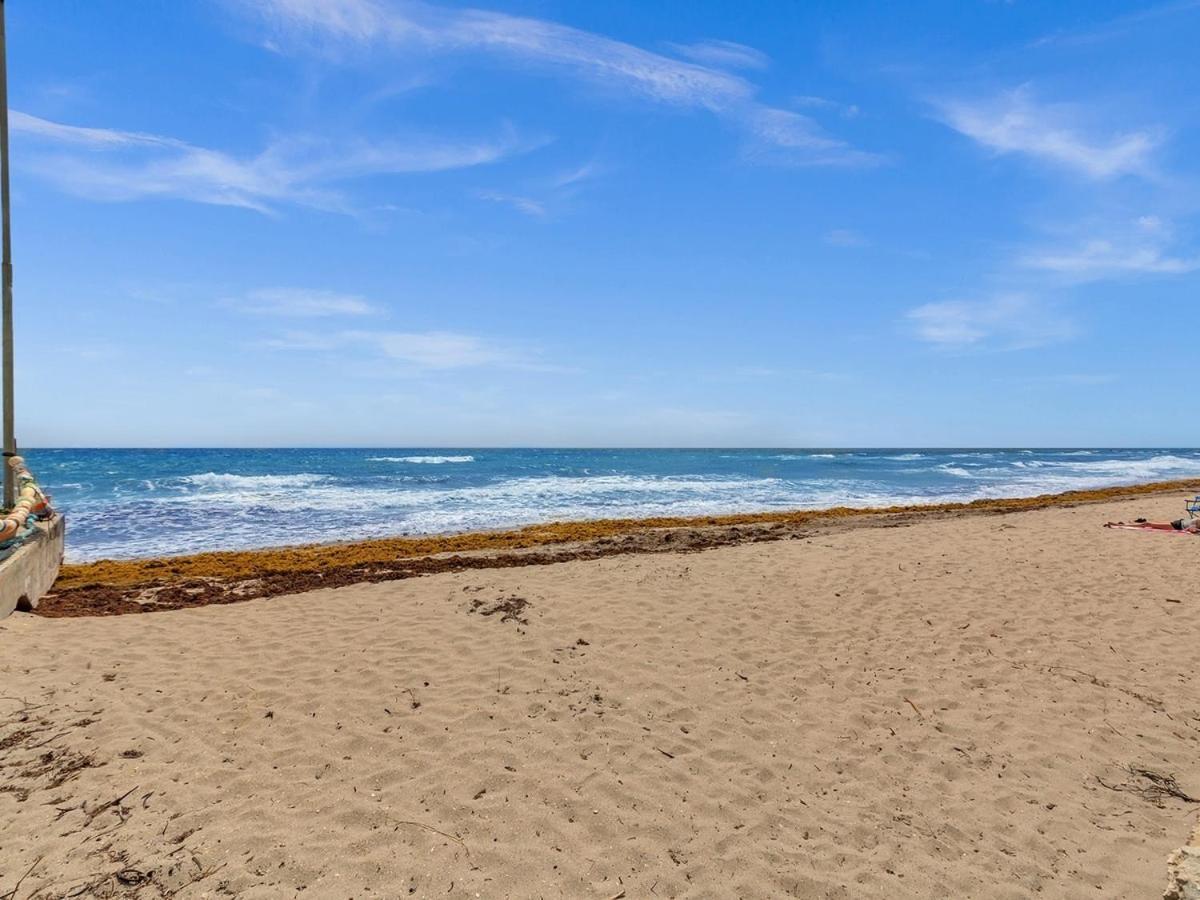 The Shell On Walnut Studio With Bath Hollywood Beach Free Parking Dania Beach Exterior foto